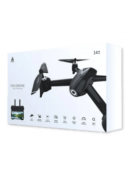 P20 Drone with Visual Positioning and Dual Cameras