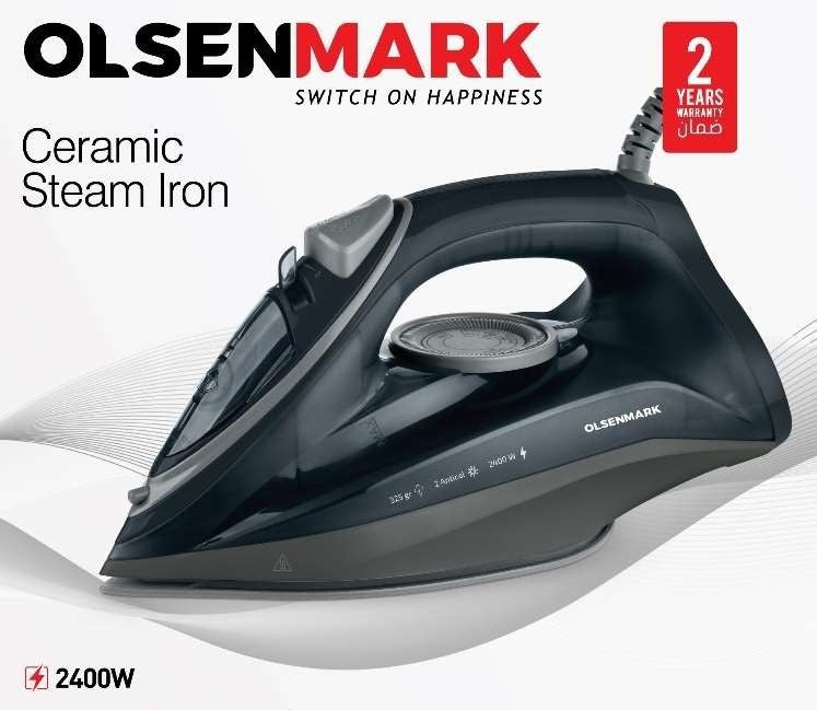 Ceramic Steam Iron/Wet&Dry 1x6