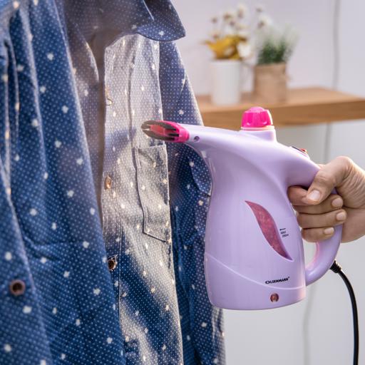 Handheld Garment Steamer/800w 1x20