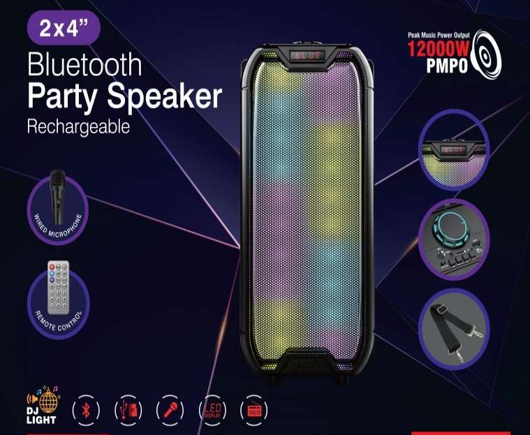 2x4"Rech Party SpekrBT/FM/MIC/USB/TF1x12