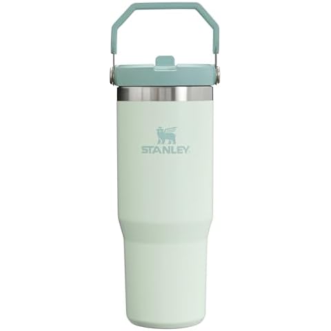 Quencher H2.0 FlowState Stainless Steel Vacuum Insulated Tumbler with Lid and Straw for Water, Iced Tea or Coffee, Smoothie and More, Orchid, 30 OZ / 0.89 L