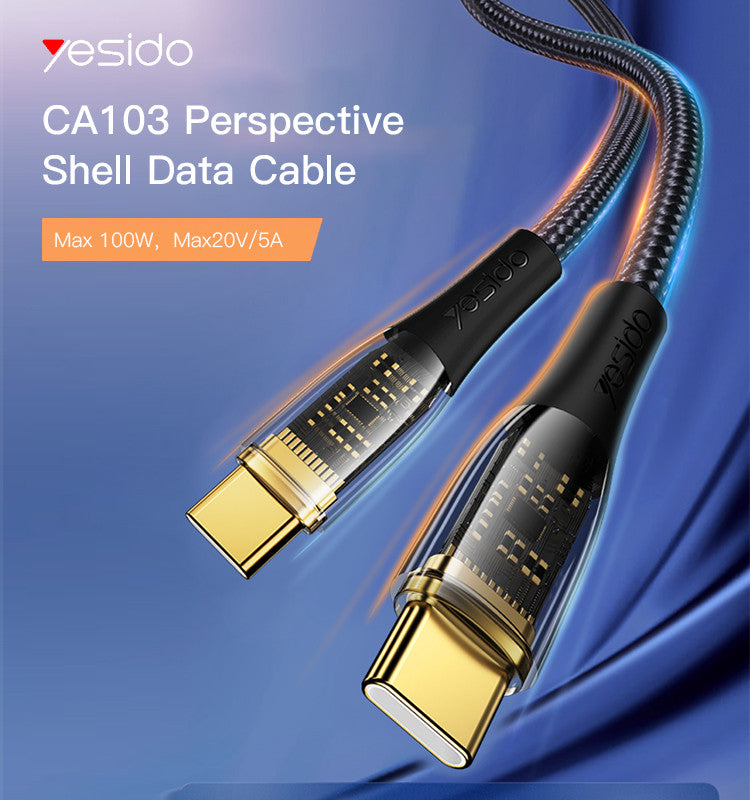 CA103 100W Dual Type - C 1.2M 1.2m TPE+PC transparent gold braided data cable C-C PD-100W