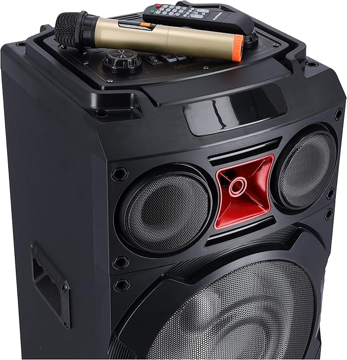 10"Hifi ProfnlSpk/Bt/MicUsb/Fm/Rmt/Tf2x1