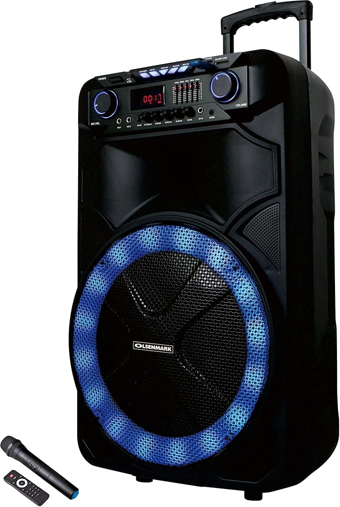 PartySpeaker/RecFun/Usb/Sd/Fm/Rmt/Mic1X1