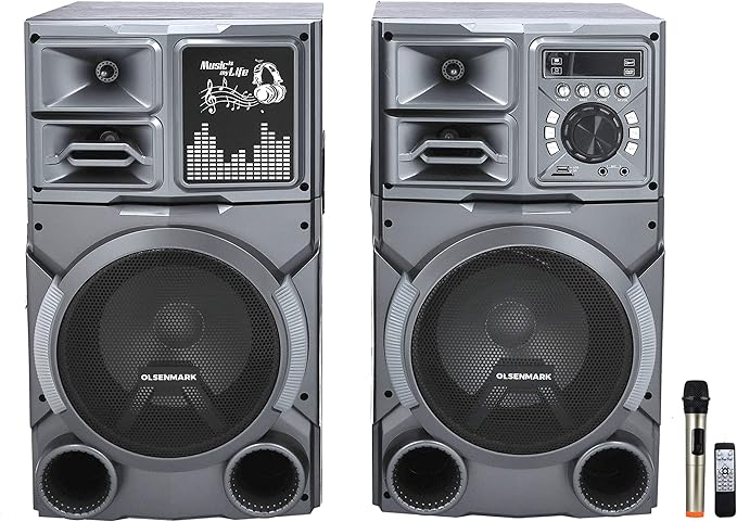 HighPower 2.0 Prof.Speaker/Usb/Bt/Rec2x1