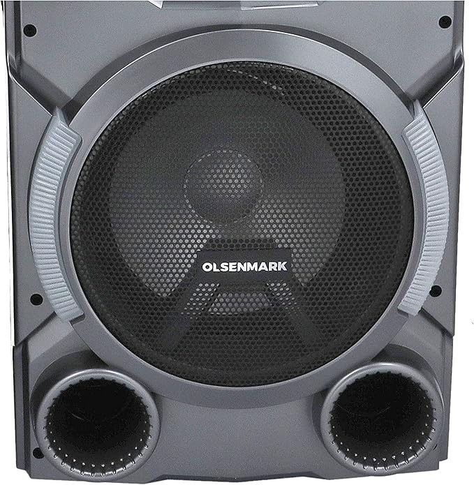 HighPower 2.0 Prof.Speaker/Usb/Bt/Rec2x1