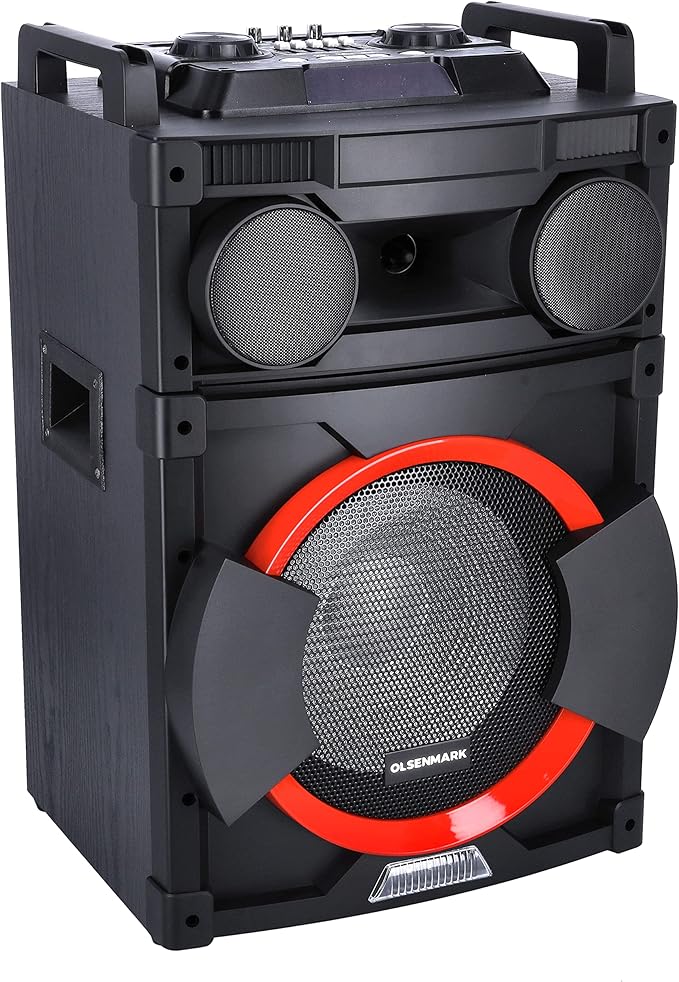 HighPower 2.0 Prof.Speaker/Usb/Bt/Rec2x1