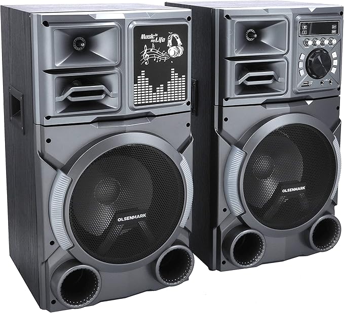 HighPower 2.0 Prof.Speaker/Usb/Bt/Rec2x1