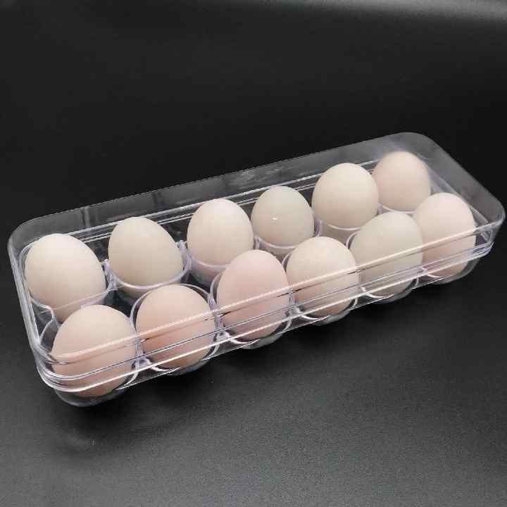 Clear Plastic Egg Tray for Organized Fridge Storage