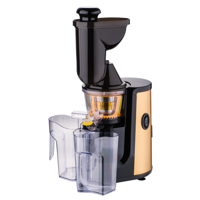 Powerful 550W Slow Juicer with 1L Jar - Disnie