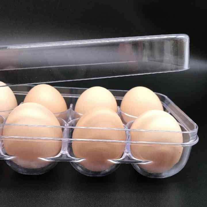 Clear Plastic Egg Tray for Organized Fridge Storage