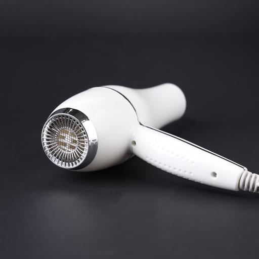 Profesnl Hair Dryer/Cool Shot Functn1x12