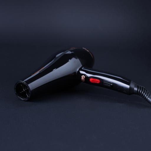 Profesnl Hair Dryer/Cool Shot Functn1x12