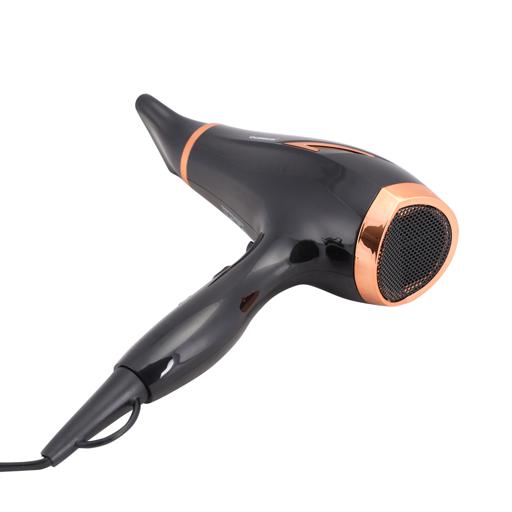 Profesnl Hair Dryer/Cool Shot/2100w/1x10