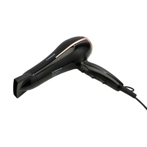 Professional Hair Dryer/2Spd/3LvlHet1x10