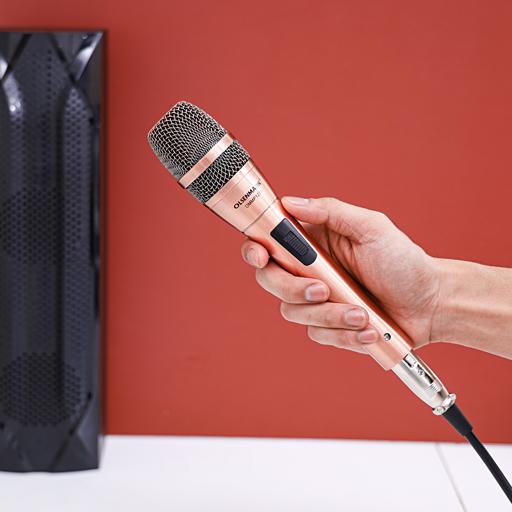 Wire Microphone 1x40