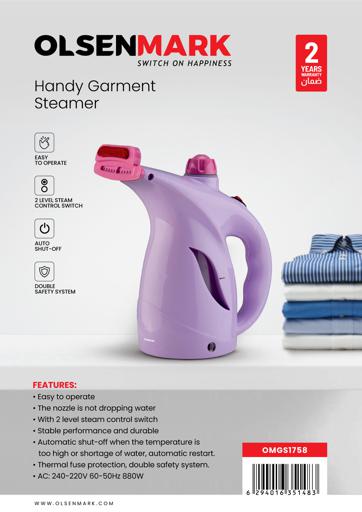 Handheld Garment Steamer/800w 1x20