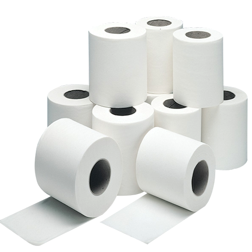 "TOILET ROLL 02PLY, EMBOSSED , PERFOFATED -  10X10X 200 SHEETS"