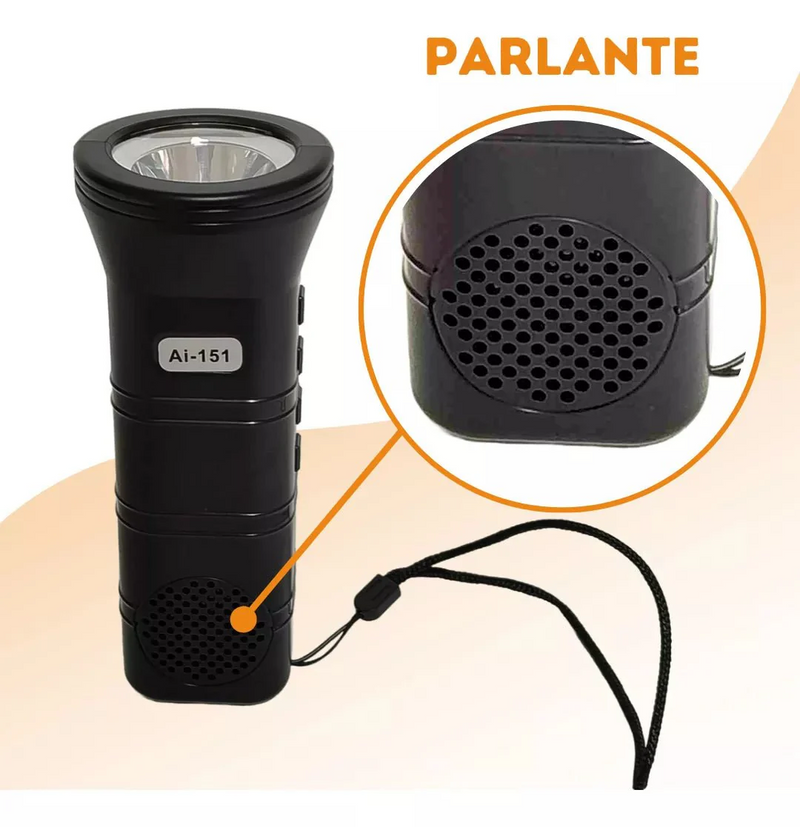 Portable Wireless Speaker with FM Radio & Flashlight