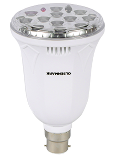 Rechargeable Led Bulb/9W Led/Remot 1x30